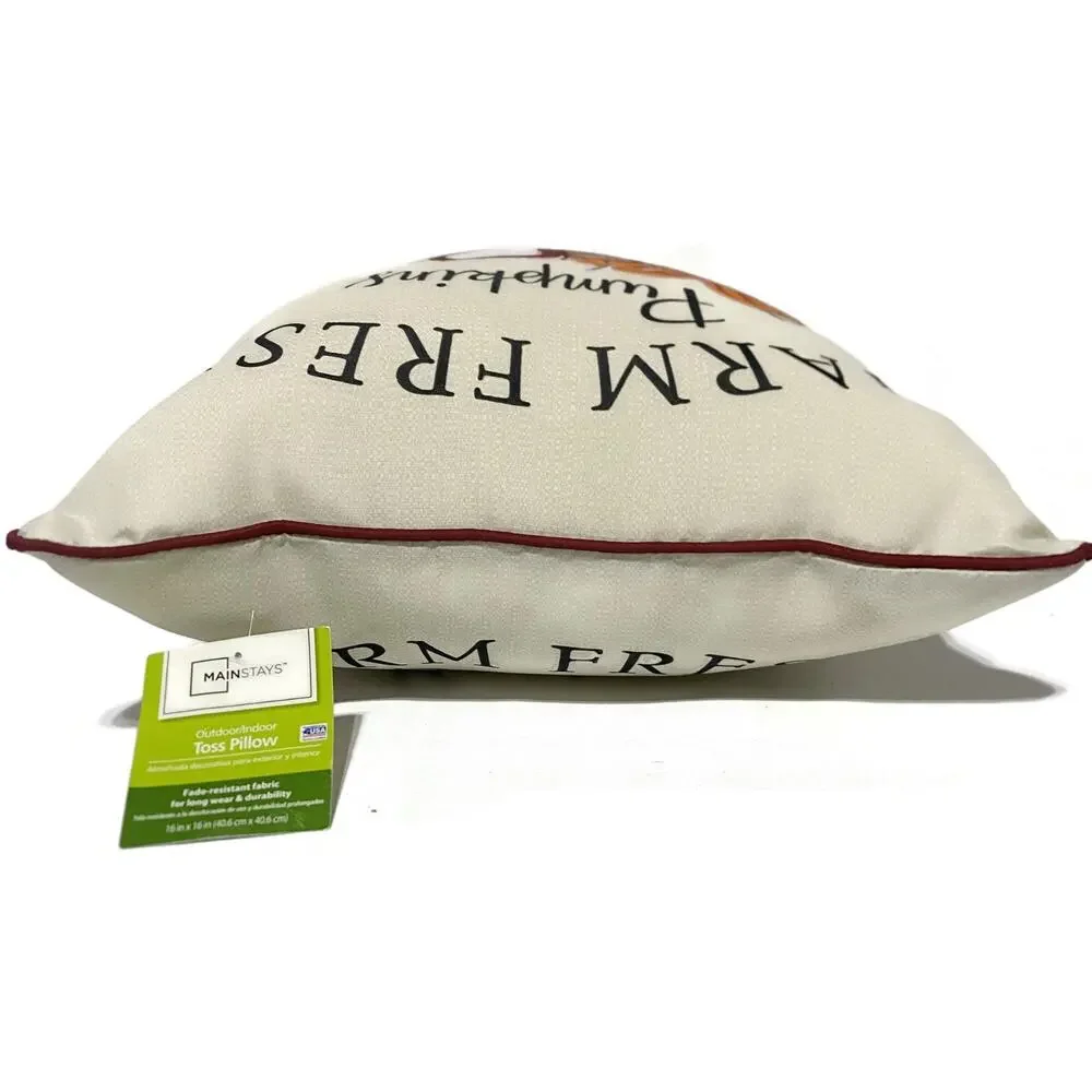 Mainstays Indoor Outdoor Throw Pillow Farm Fresh Pumpkins 15x15 Fall Decor NWT